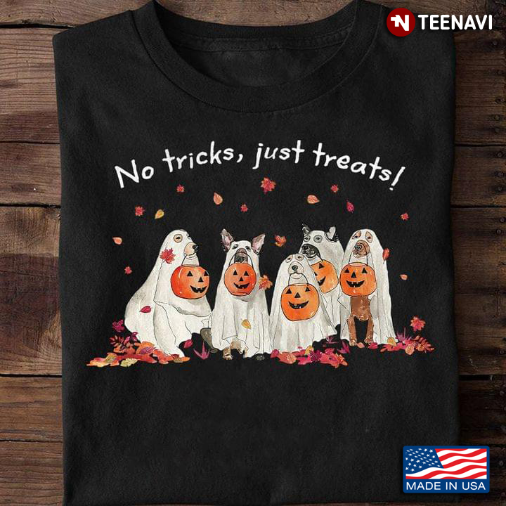 No Tricks Just Treats Funny Dog Boo With Jack O’ Lantern for Halloween