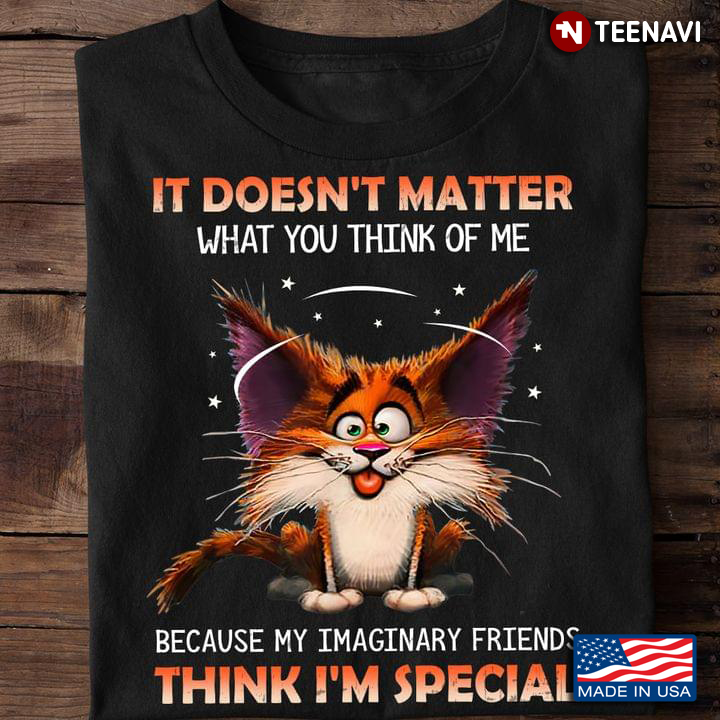 Funny Cat It Doesn't Matter What You Think Of Me Because My Imaginary Friends Think I'm Special