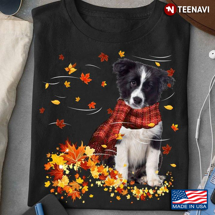 Border Collie Puppy With Scarf And Autumn Leaves Happy Fall