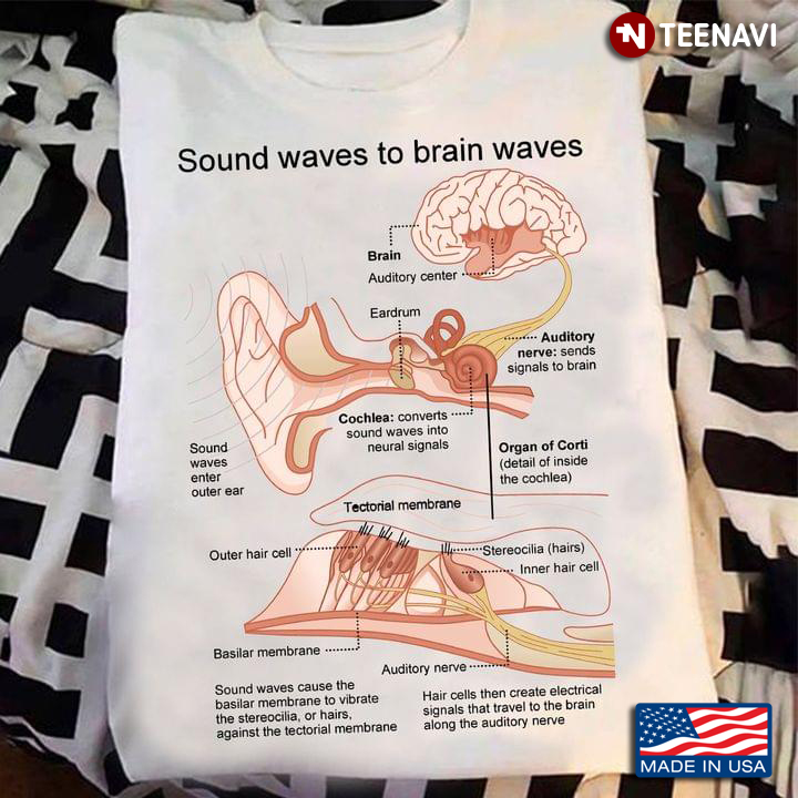 Sound Waves To Brain Waves Otologist