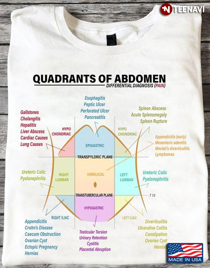 Anatomy Quadrants Of Abdomen Differential Diagnosis
