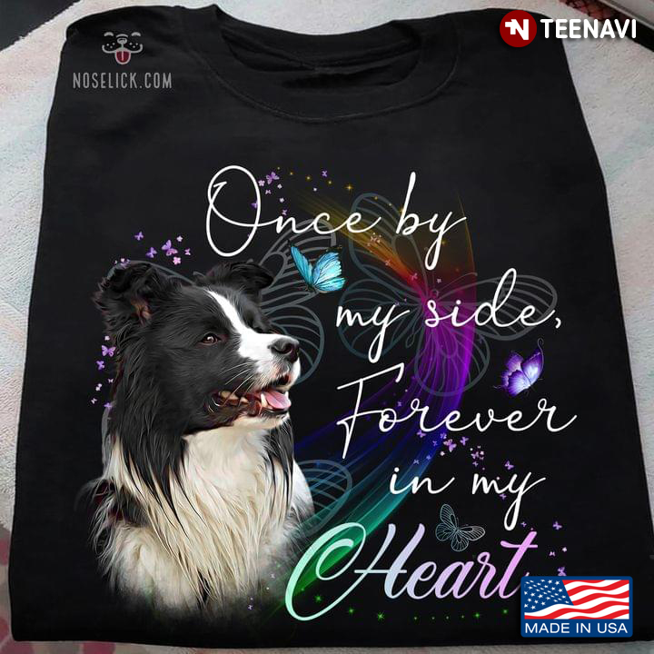 Border Collie Once By My Side Forever In My Heart