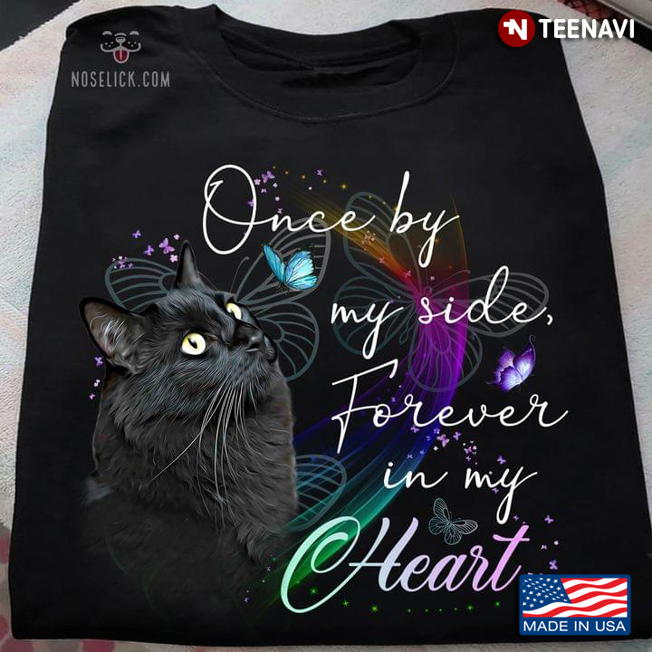 Black Cat Once By My Side Forever In My Heart