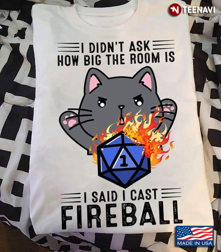 Grumpy Cute Cat Meme I Didn’t Ask How Big The Room is I Said I Cast Fireball