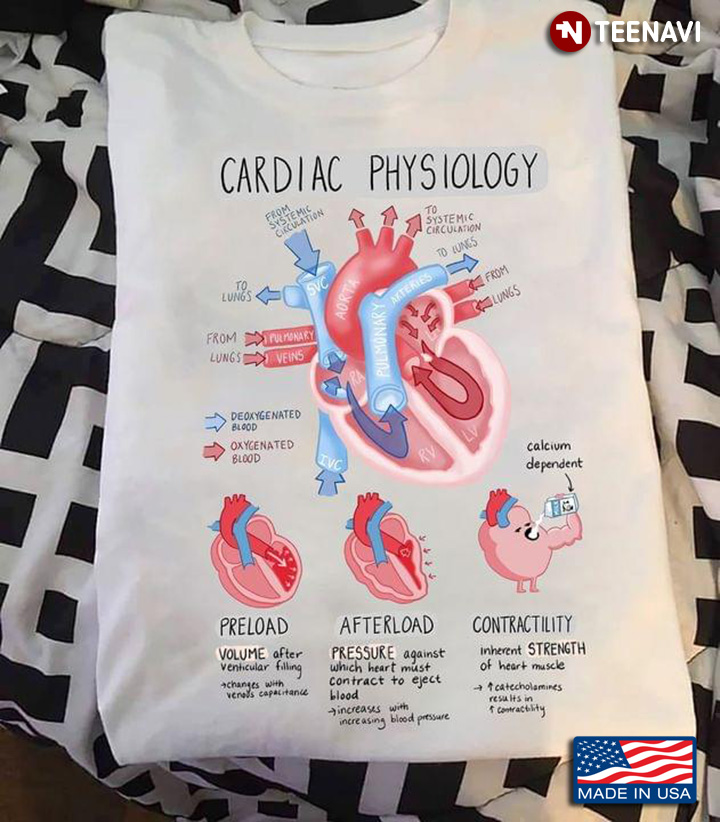 Cardiac Physiology Heart