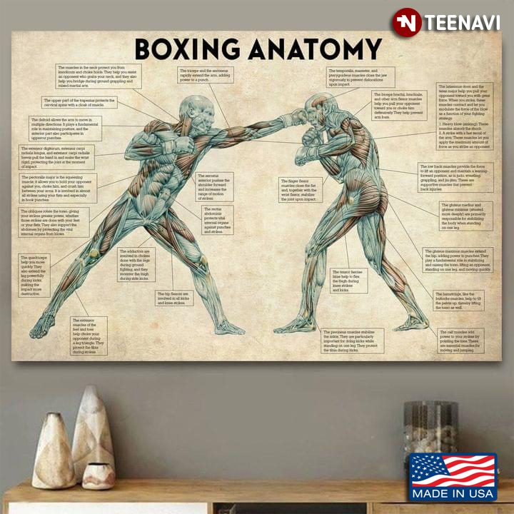 Vintage Funny Boxing Anatomy