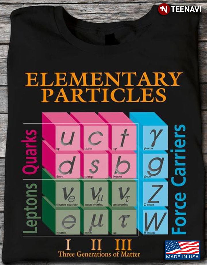 Elementary Particles Leptons Force Carriers