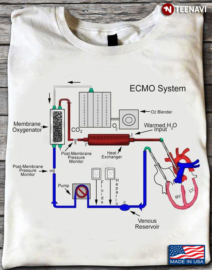 Ecmo System ECMO Machine Medical Human Heath