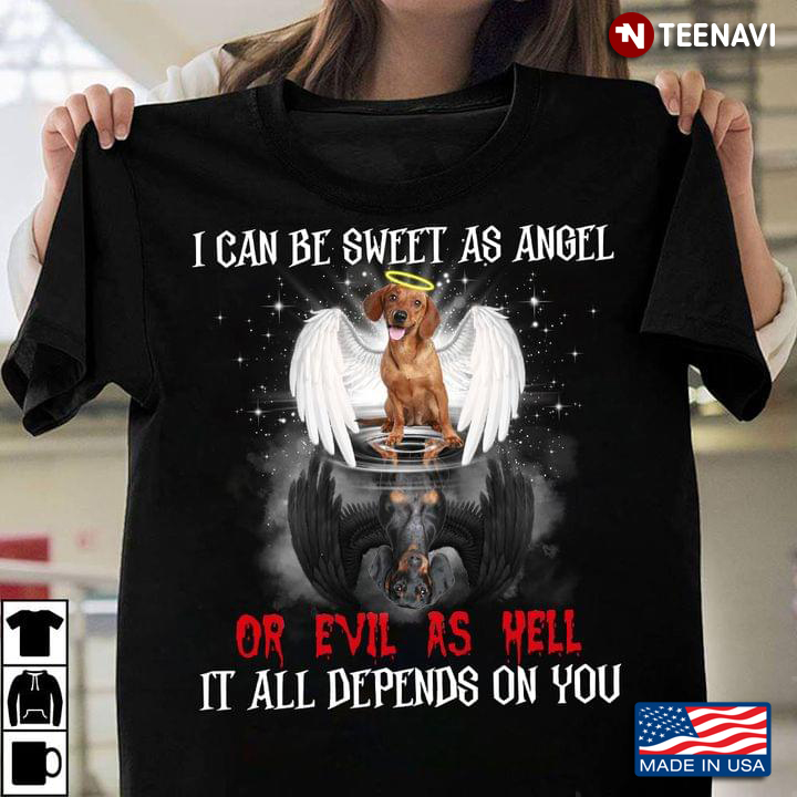 I Can Be Sweet As Angel Or Evil As Hell It All Depends On You Dachshund With Wings