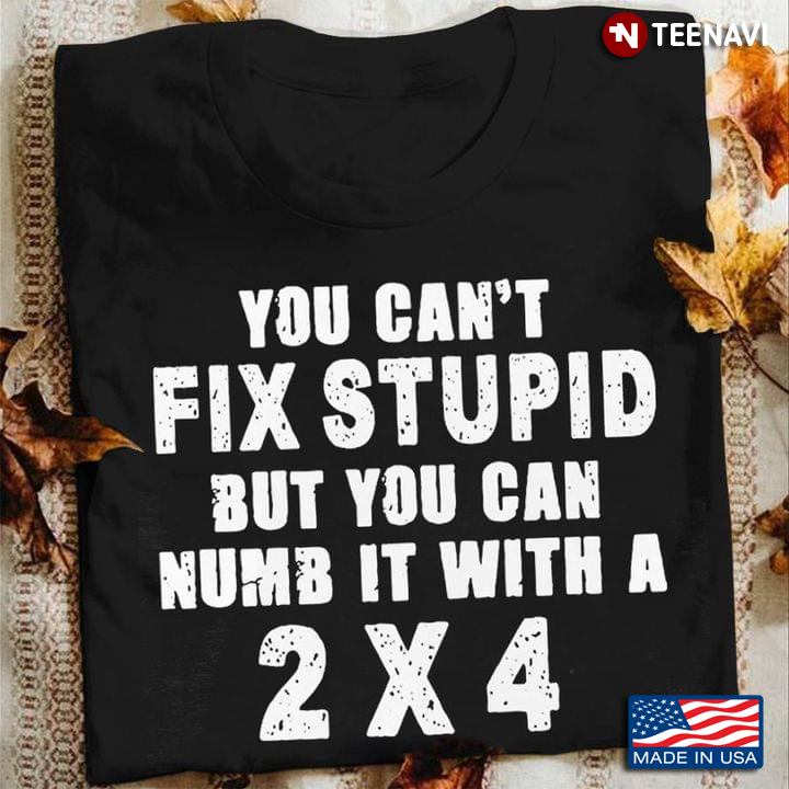 You Can't Fix Stupid  But You Can Numb It With A 2 X 4 Funny Quote