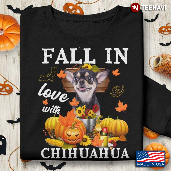 Fall In Love With Chihuahua Autumn Season for Dog Lover