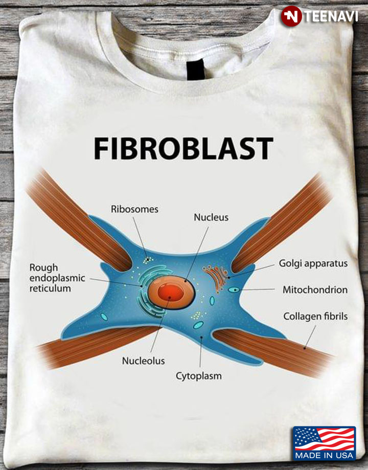 Structure of Fibroblast Cells Collagen Illustration