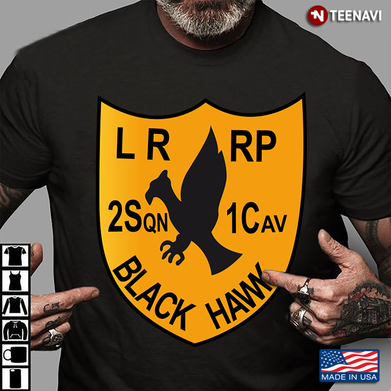 2nd Squadron LRRP 1st Cavalry Division Black Hawk