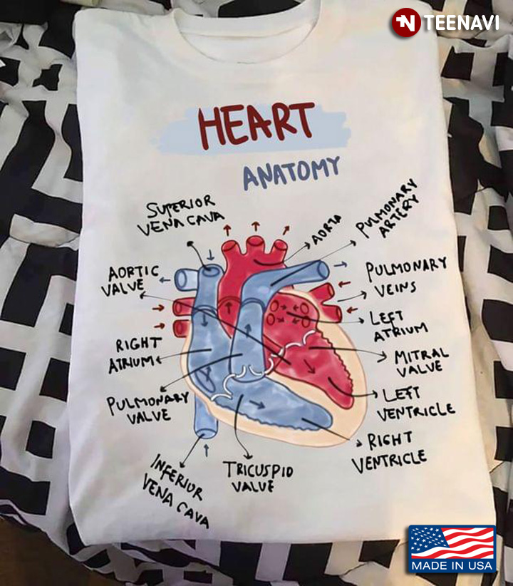Parts Of Heart Cardiovascular Heart Anatomy