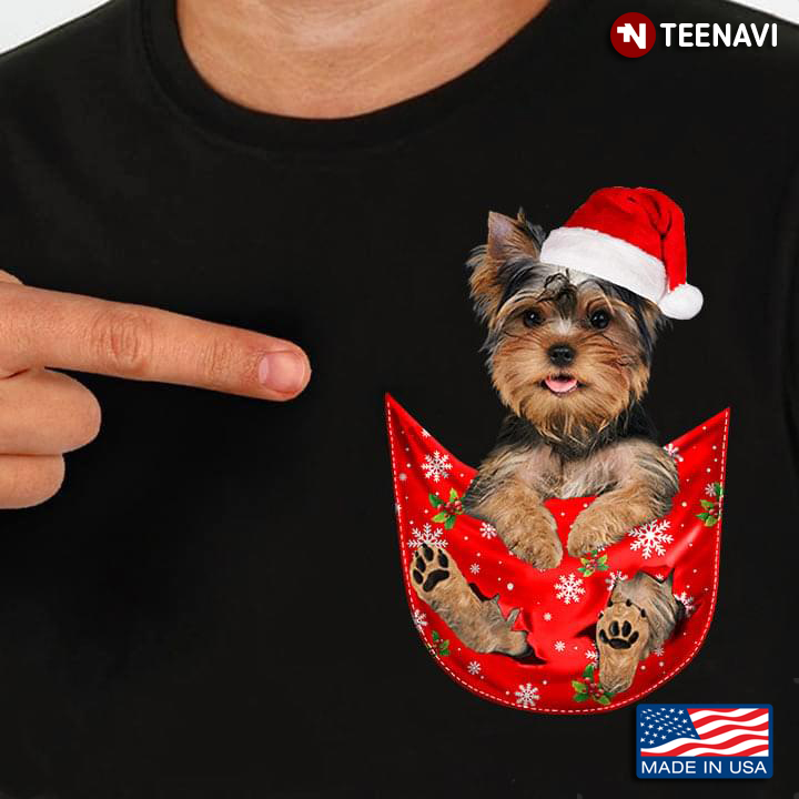 Yorkshire Terrier Claus for Christmas