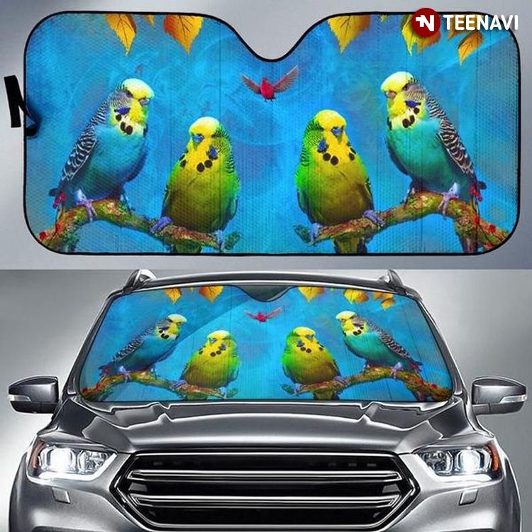 Colorful Parrots Driving Bird Lover