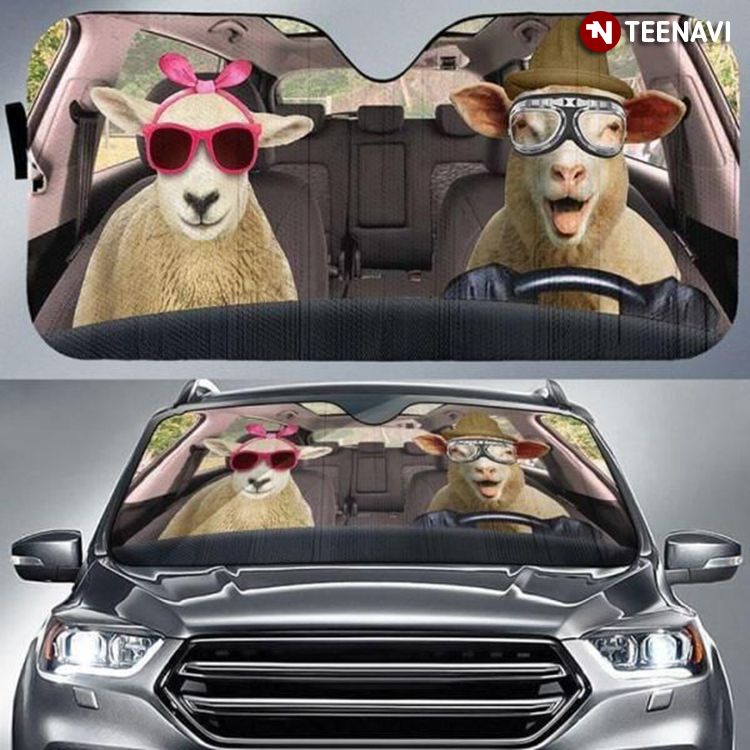 Cute Sheep Driving Home Together Animal Lover