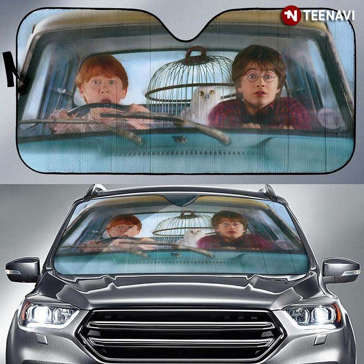 Harry Potter And Ron Weasley Driving Funny Magical