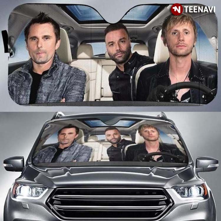 It's always sunny online car sun shade