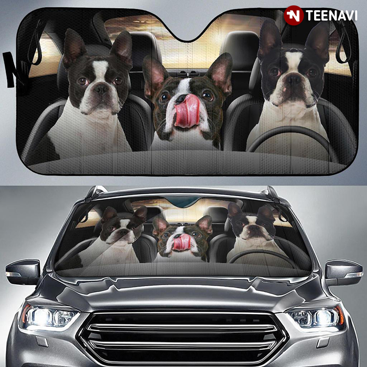 French Bulldog And Boston Terrier Driving Funny For Dog Lover