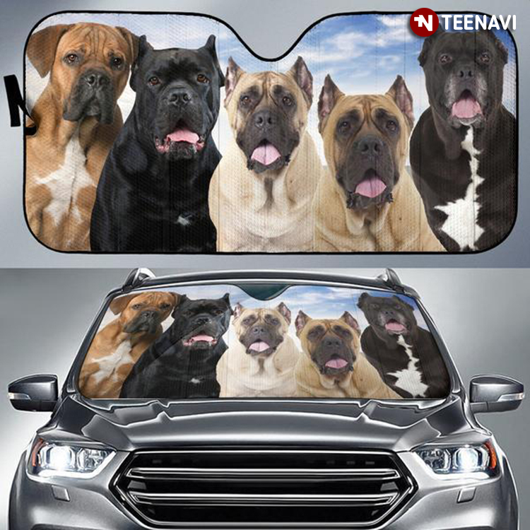 Boerboel Dog Together Driving For Dog Lover Best Gift Ever