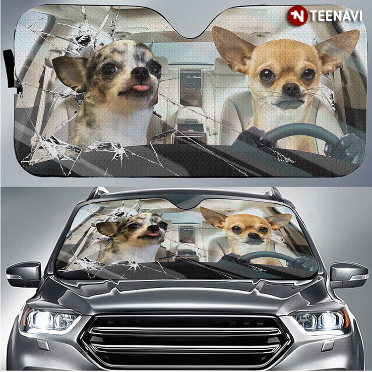 Adorable Chihuahua Driving Funny For Dog Lover