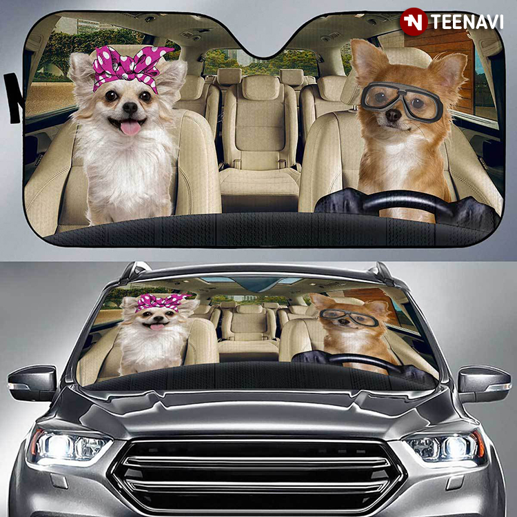 Couple Chihuahua Driving Together For Dog Lover