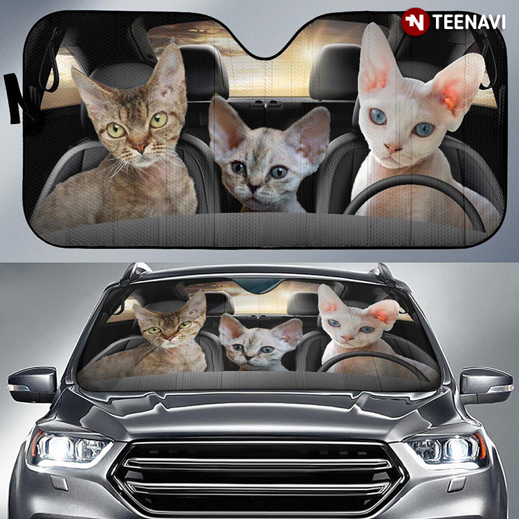 Sphynx Cat Looking At You When Driving Car For Cat Lover