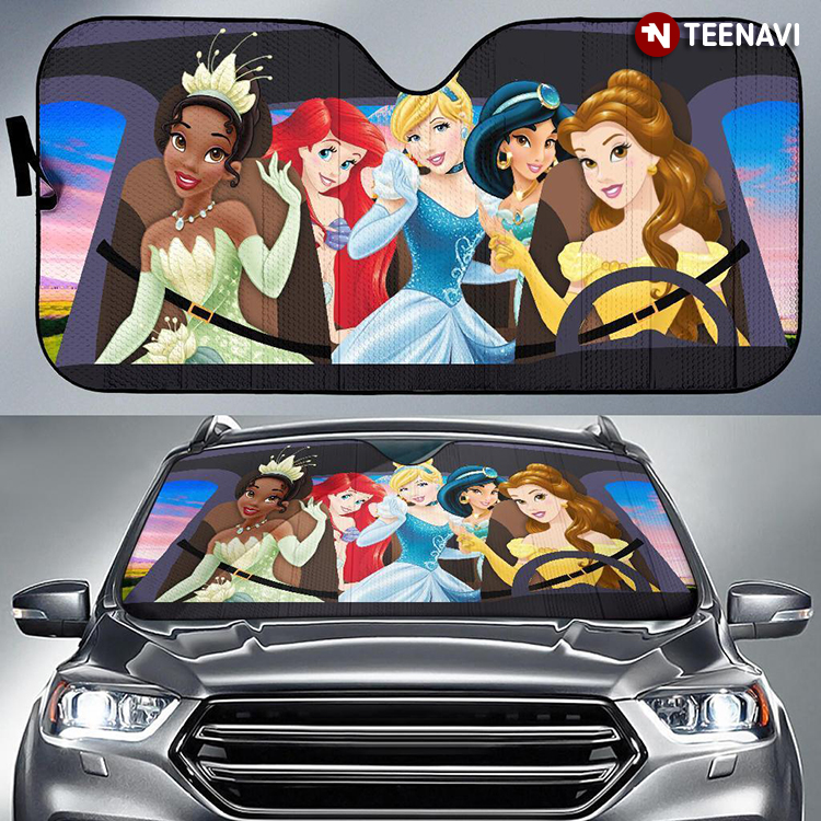 Princesses Gathering With Funny Driving For Disney Lover