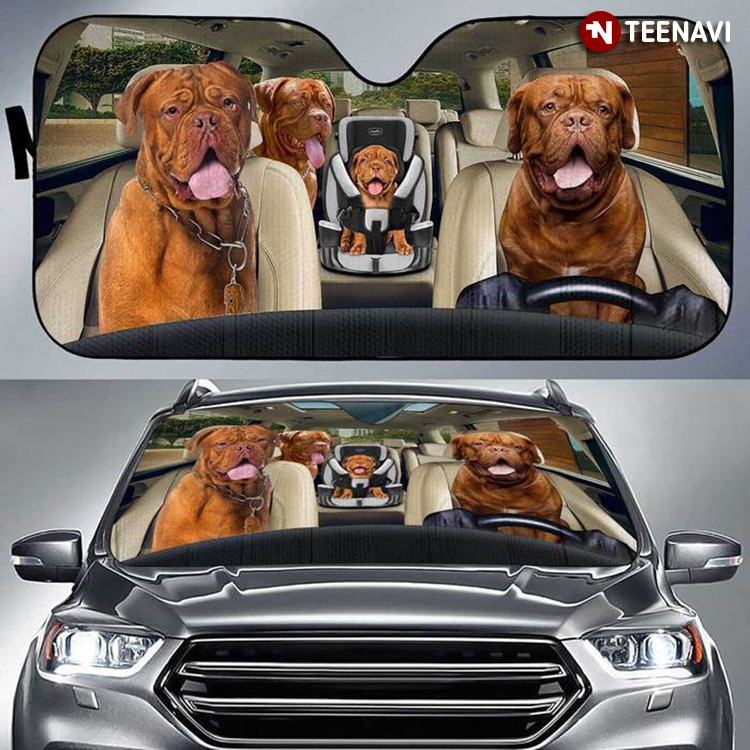 Grumpy Family Dogue De Bordeaux Driving For Dog Lover
