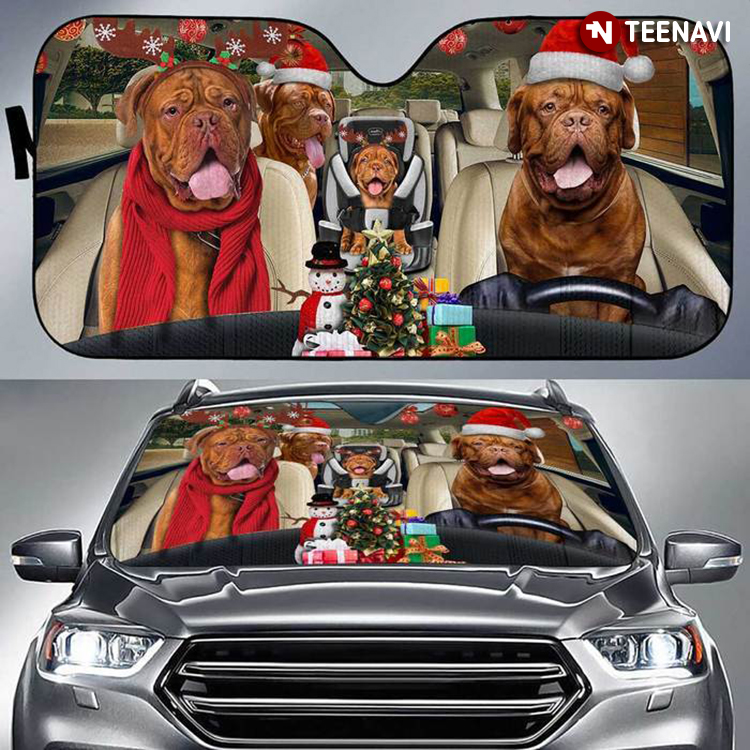 Christmas Dogue De Bordeaux Driving Christmas Is Coming For Pet Lover