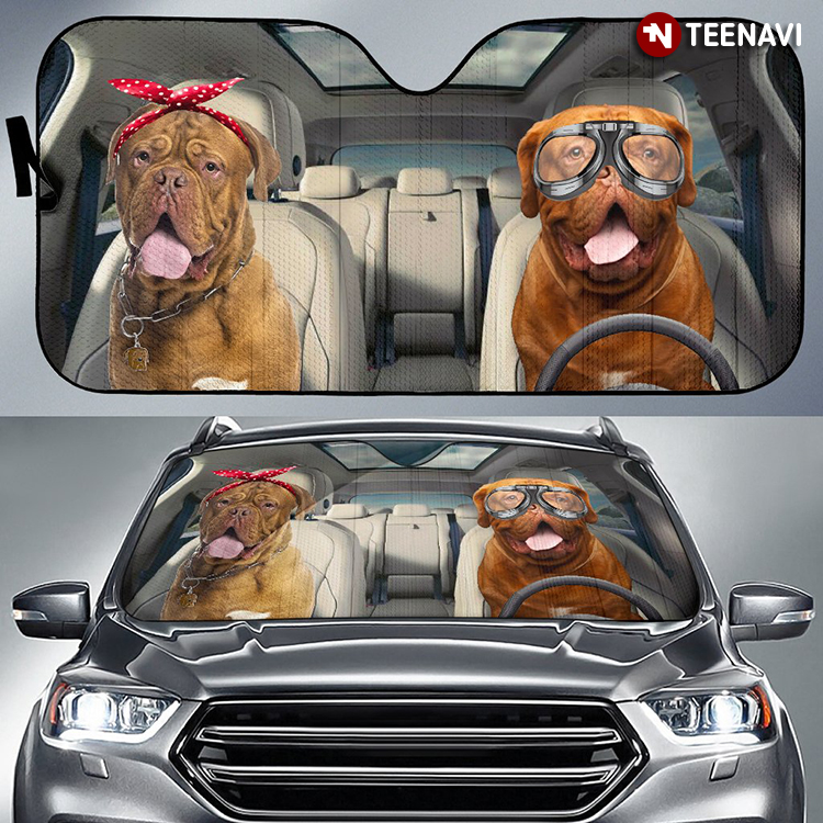 Dogs Driving The Best Gift For Christmas Holiday