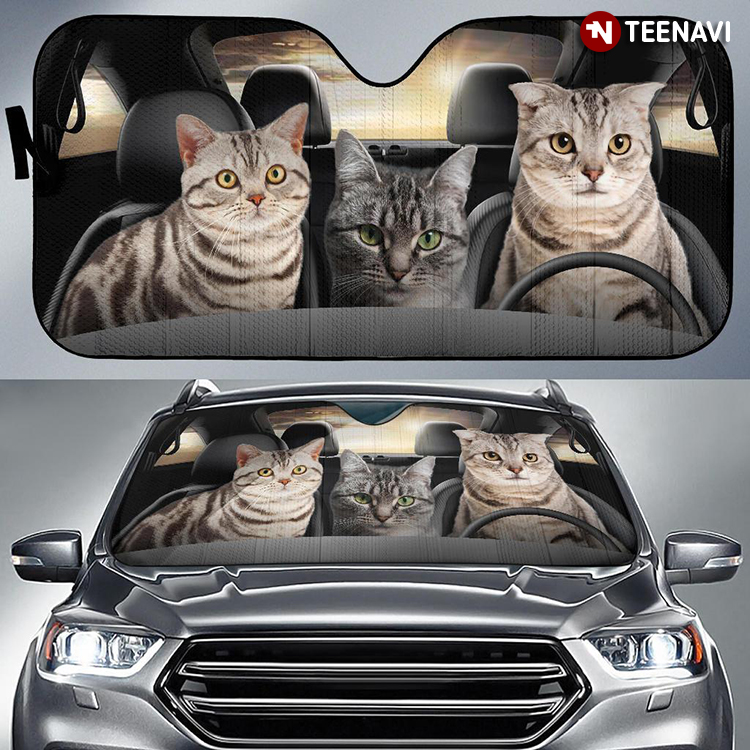 American Shorthair Cats Driving Amazing Gift For Cat Lover