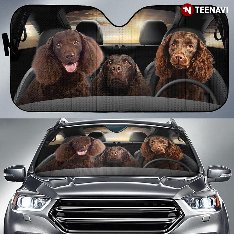 American Water Spaniel Dog Driving Best Gift For Pet Lover