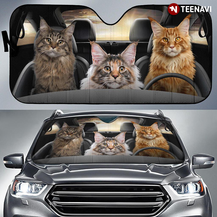 Family Maine Coon Cat Driving A Car For Cat Person