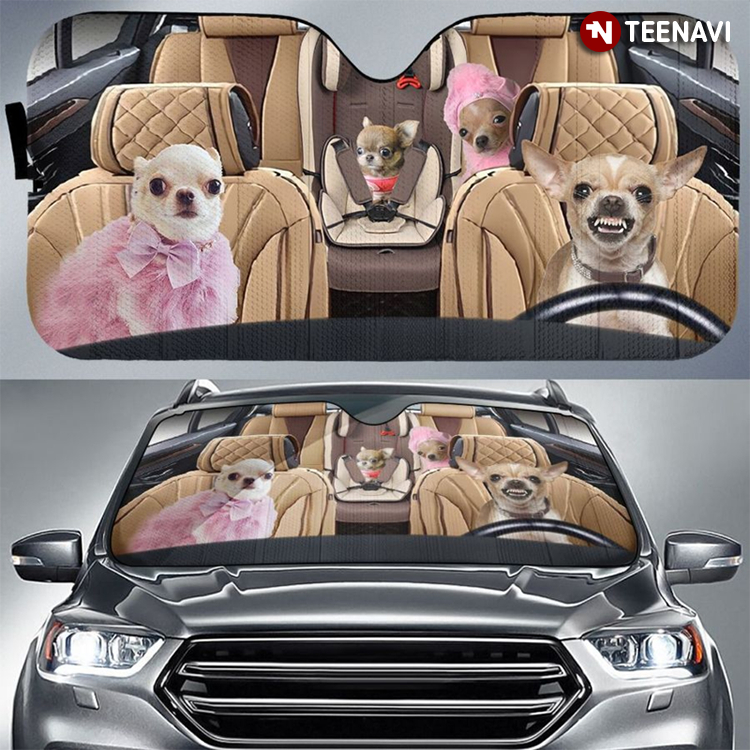 Pinky Chihuahua Family Driving A Luxury Car For Dog Lover