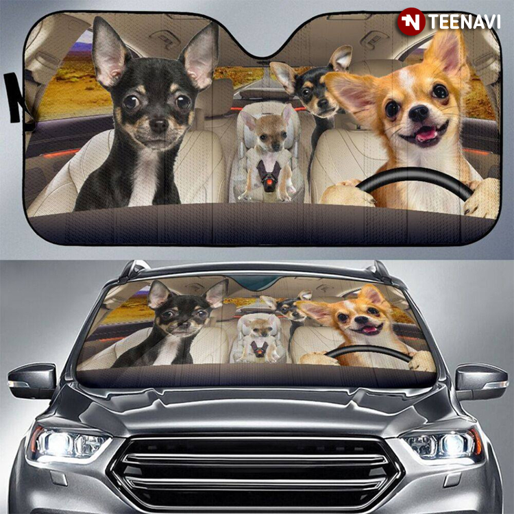 Chihuahua Family The Best Gift Ever Driving For Dog Lover