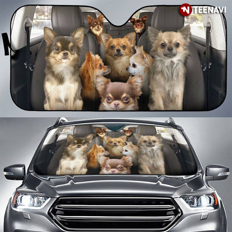 New Version Chihuahua Family Driving For Dog Lover