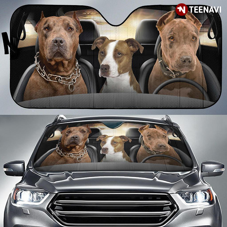 Cool American Staffordshire Terrier Driving For Pet Lover