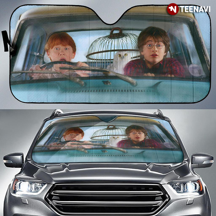 Harry Potter And Ron Driving A Car To Hogwarts