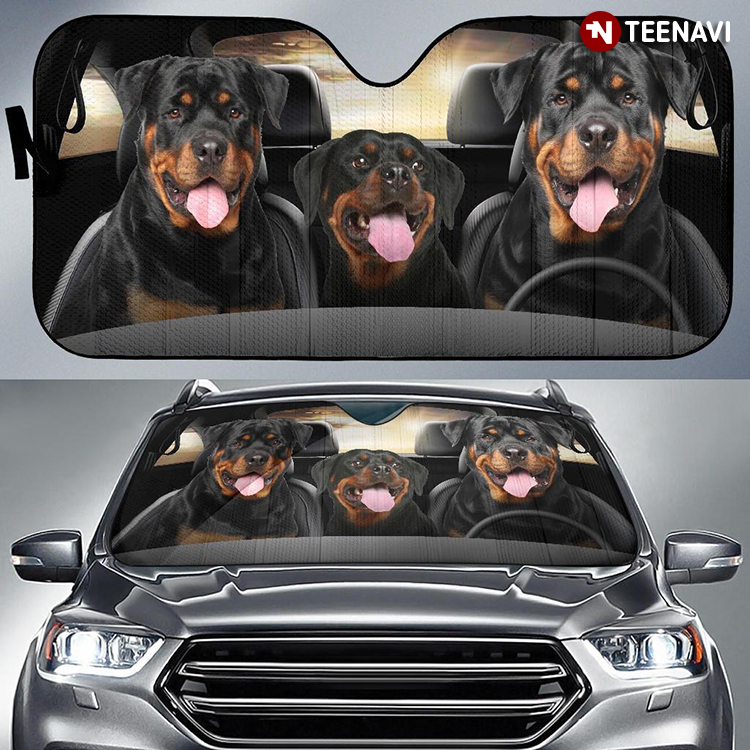 Rottweiler Lovers Are Born In December Driving A Car Funny