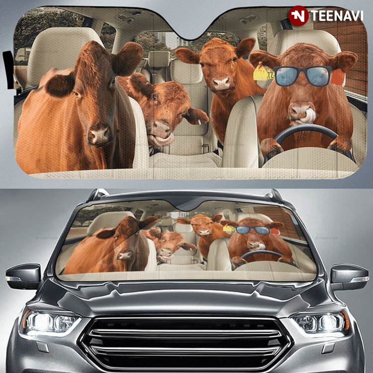 Funny Cow Driving A Car For Cow Lover
