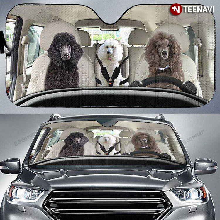 Poodle Dogs Driving Together Funny Dog Lover