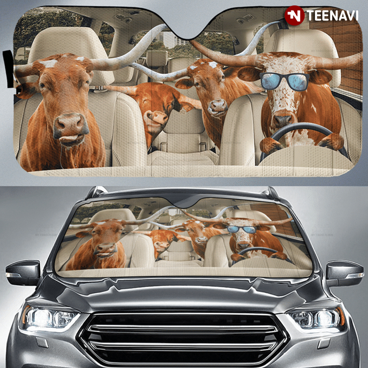 Texas Longhorn Family Driving To Texas For Cattle Lover