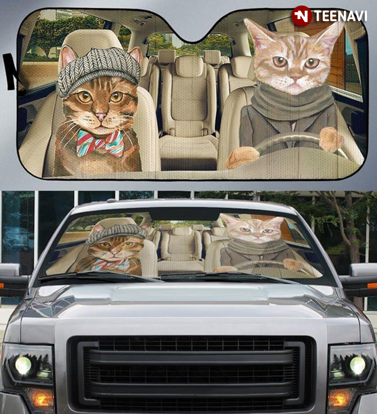 Cat Couple Driving A Car For Holiday