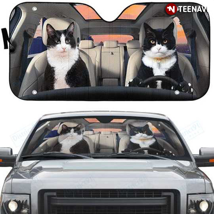 Don't Look At Me Cat Couple Driving