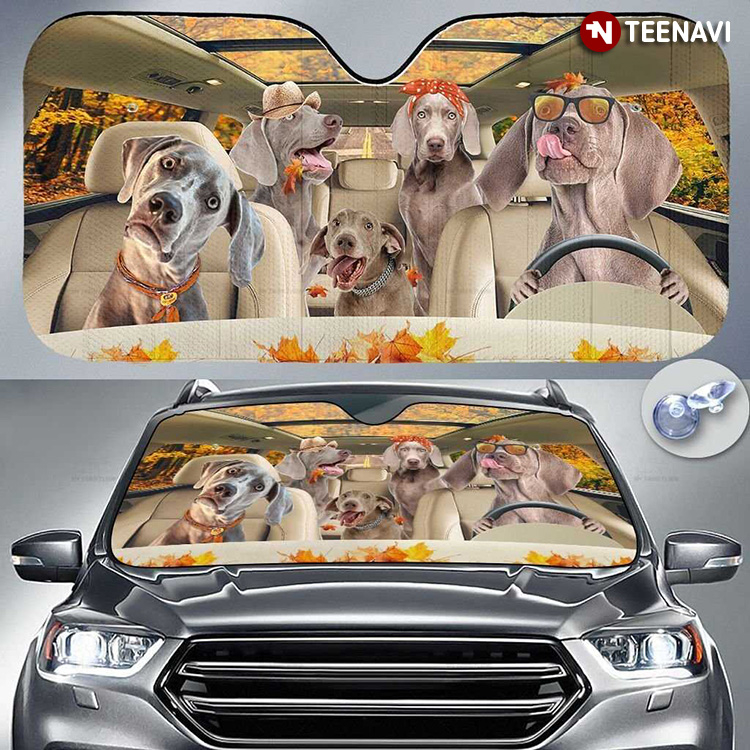 Weimaraner Family Driving A Car In The Weekend