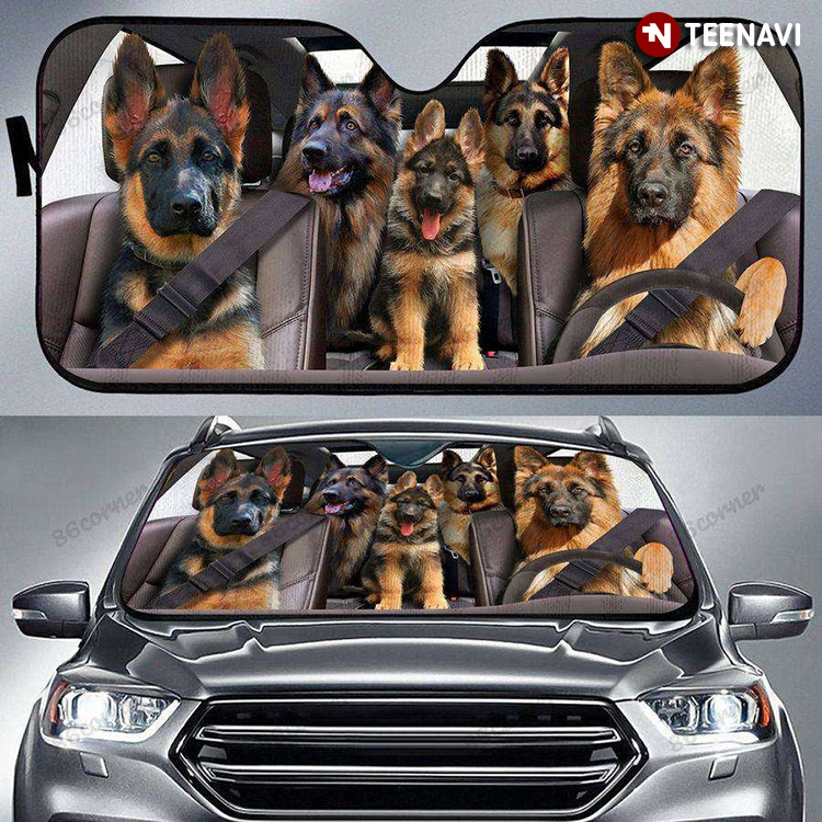 Hey German Shepherd Dogs Are Driving Funny