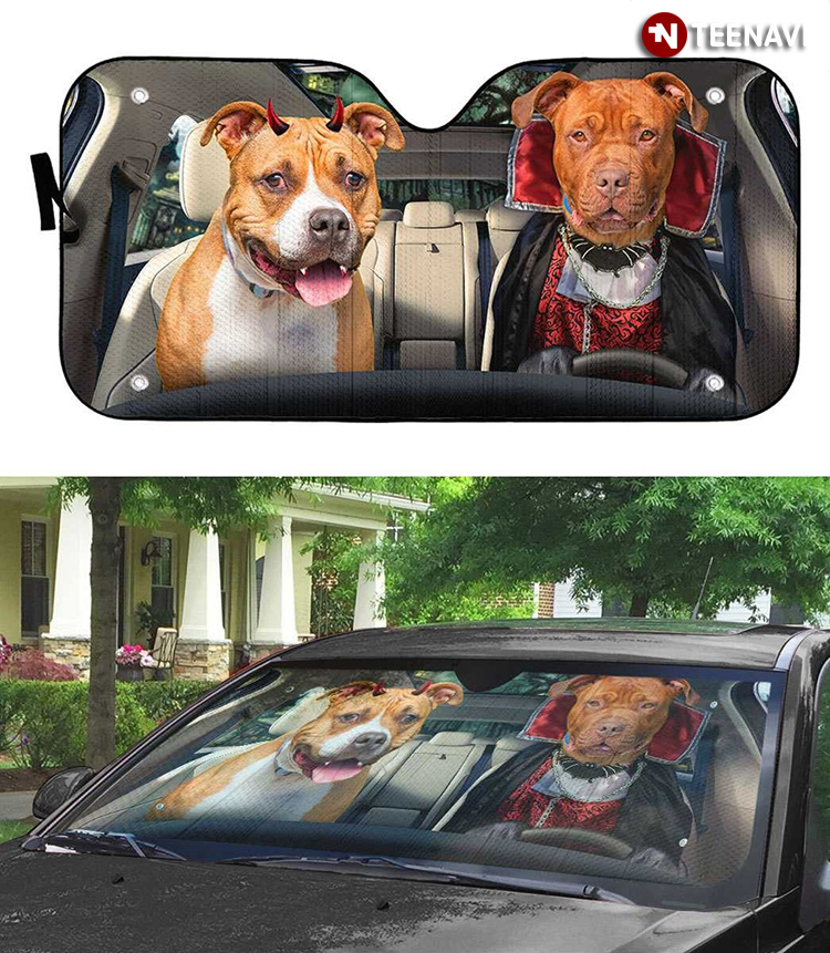 Couple American Staffordshire Terrier Dog Driving For Halloween Season