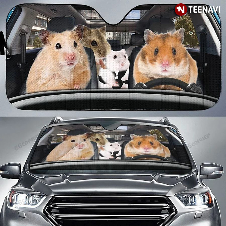 Hamsters Rodents Driving A Car For Hamster Lover